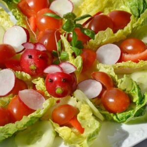 Vegetarian Salad Recipe For Weight Loss