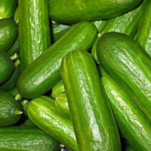 cucumber for salad